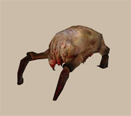 Headcrab