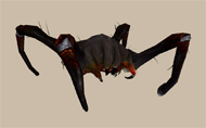 Headcrab venenoso